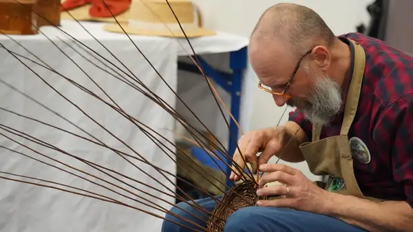 WOW! Modena conquista i sensi: tra alpaca, bonsai e benessere olistico