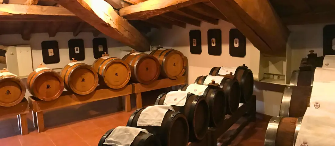 L'oro nero di Carpi si svela ai piedi del Municipio