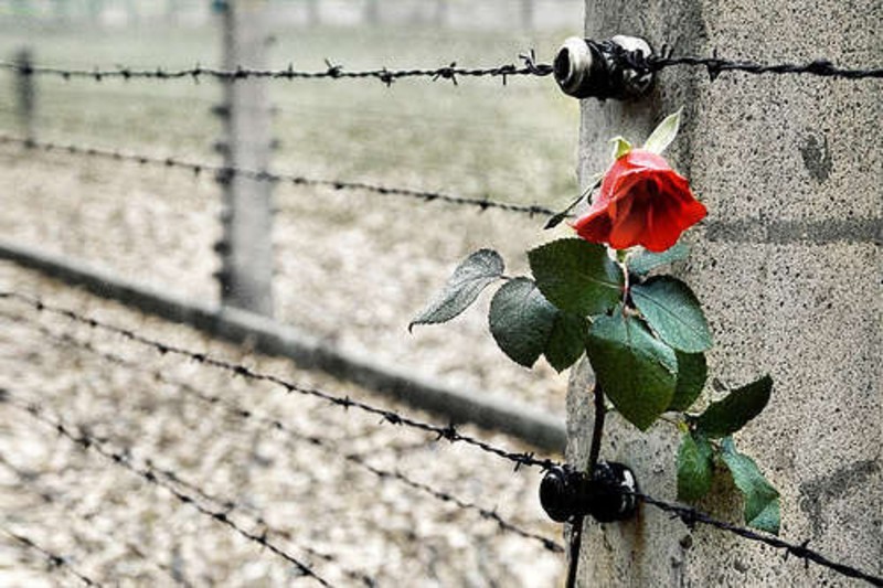 Campogalliano commemora la Shoah con arte e memoria