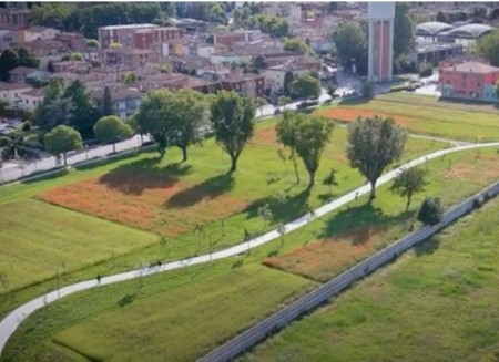 Cento nuovi alberi trasformeranno il parco della Cappuccina