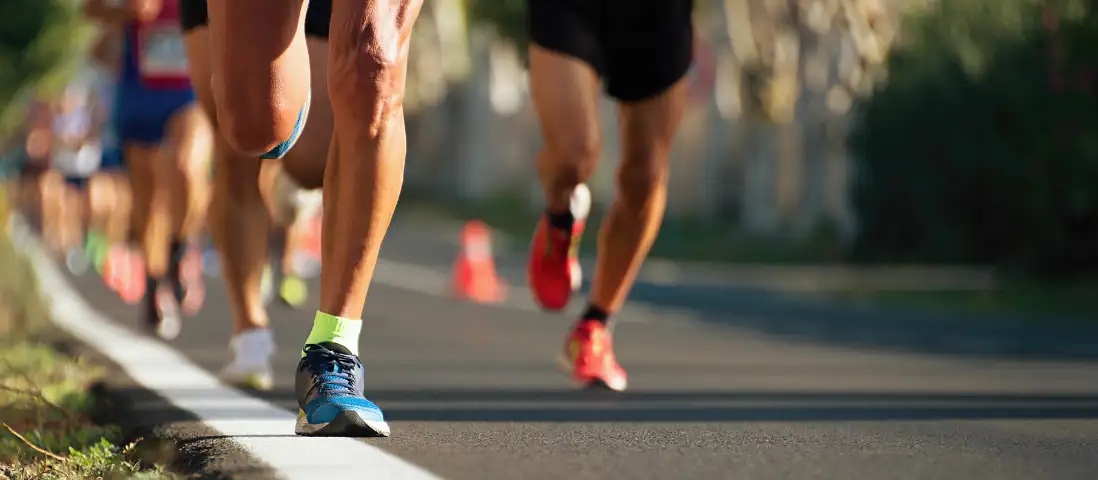 Un percorso tra storia e natura nel cuore della pianura