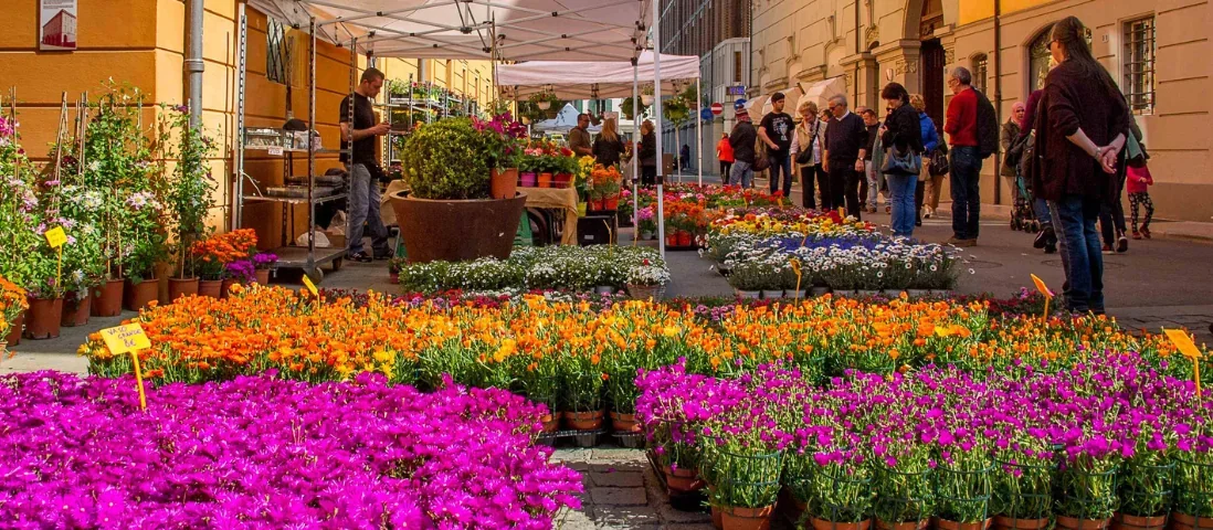 Carpi si trasforma in un giardino incantato: torna "Carpi in Fiore"