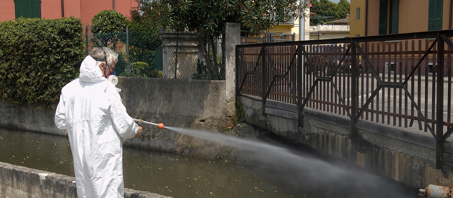 Emergenza Chikungunya: disinfestazione straordinaria domenica 7 agosto in via Cairoli