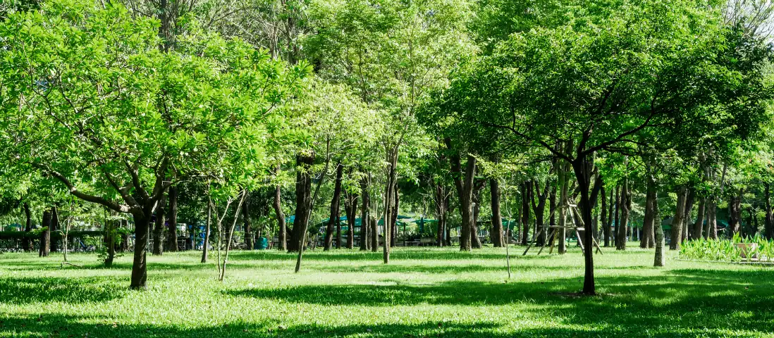 Voci del Bosco: quando il design incontra la natura