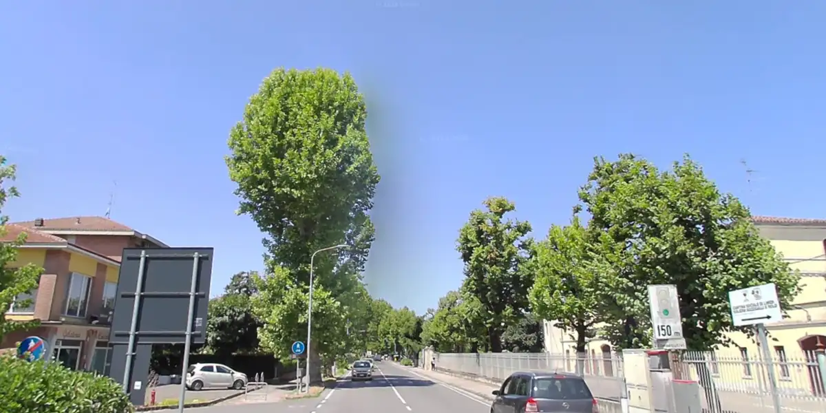 Manutenzione stradale a Limidi: senso unico alternato