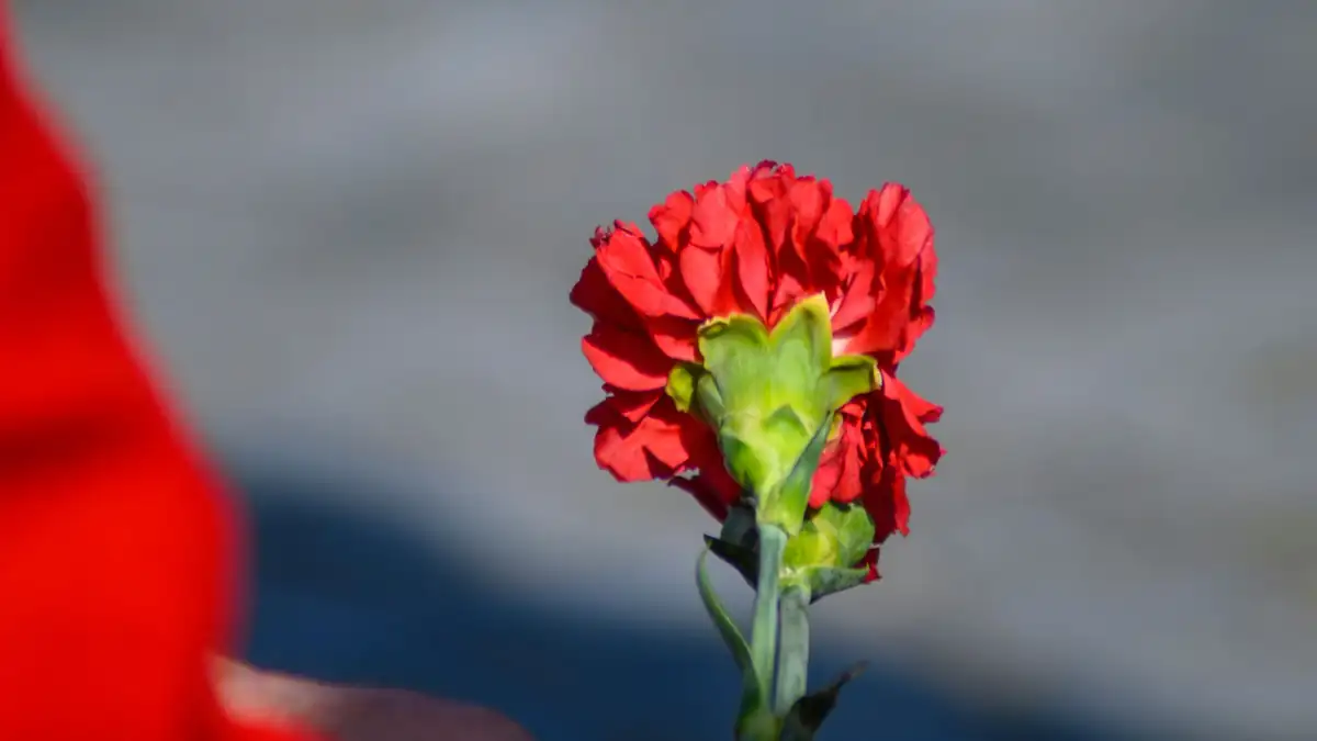 L'archivio di Vanda torna a casa