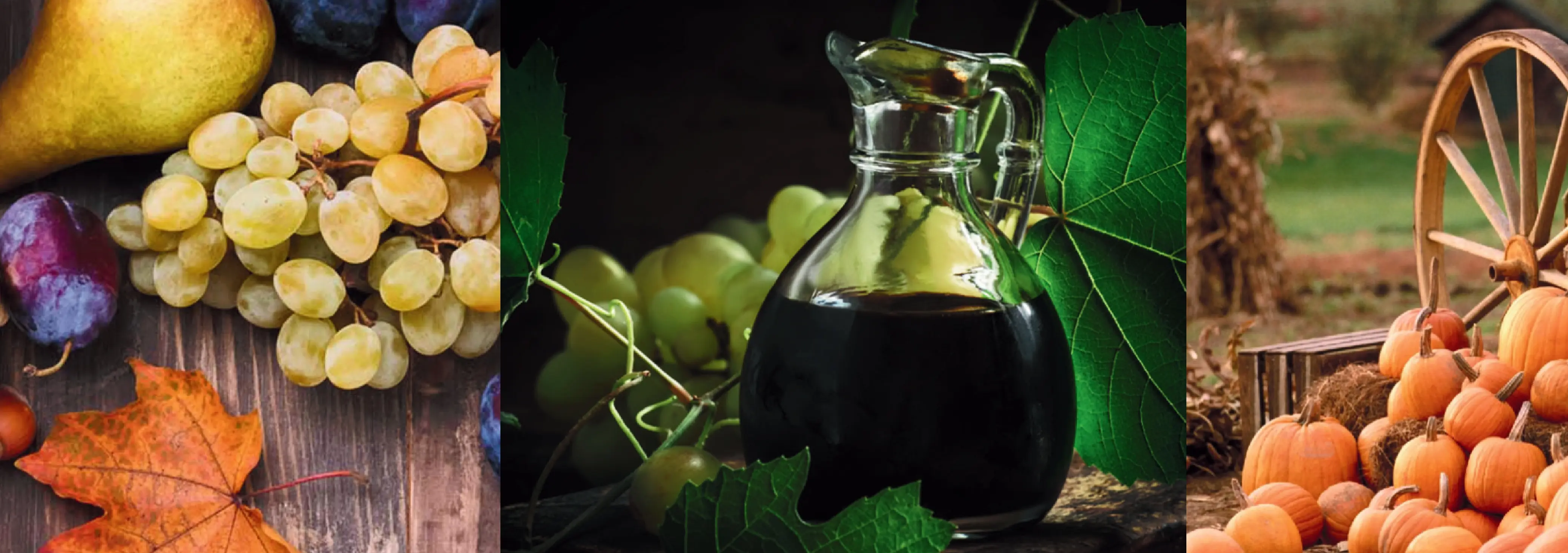 Sant'Orsola, due secoli di fiera: Campogalliano si prepara alla domenica più golosa dell'anno