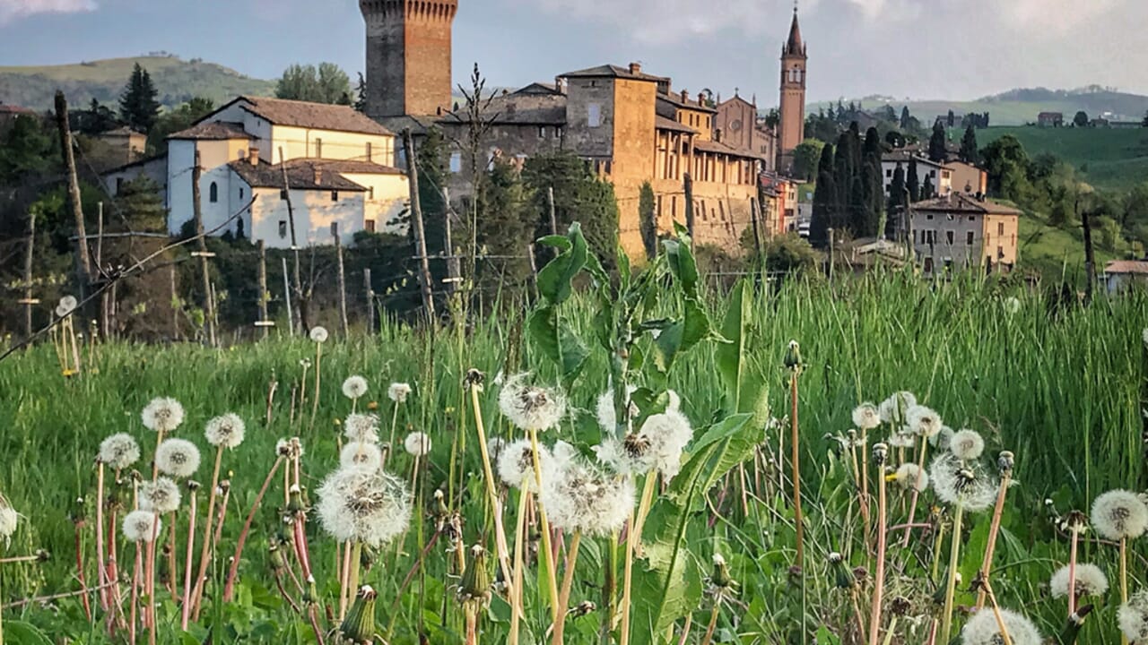 Un gioiello medievale nel cuore dell'Emilia: domenica al castello