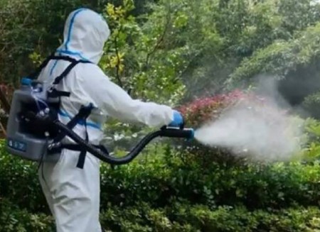 Guerra alle zanzare tigre: Carpi si mobilita contro la Chikungunya