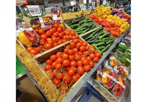 Il Gusto Si Risveglia al Foro Boario