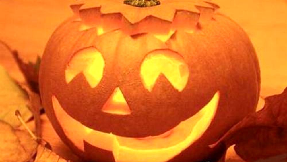 Halloween in Grande Stile: Bomporto, Sorbara e Solara Si Vestono da Brivido per i Piccoli