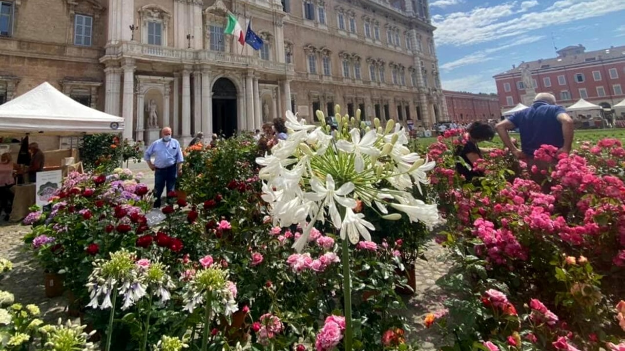 Modena in Fiore: il centro si trasforma in un garden center all'aperto