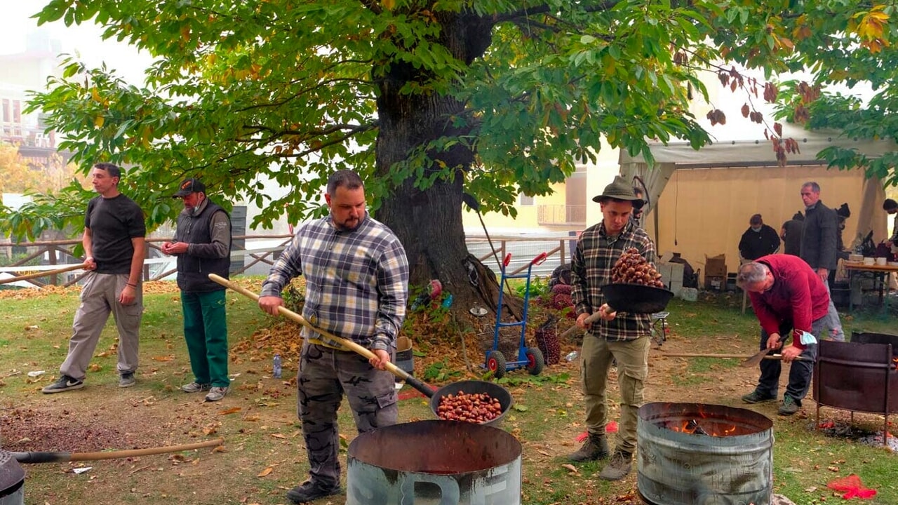 Montecreto e le sue castagne: quando l'autunno sa di tradizione (e di croccante bontà!)