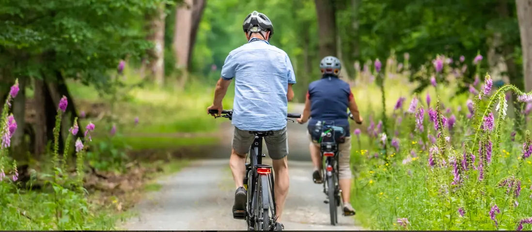 Venti anni di Pedalata contro l'Alzheimer: Carpi si mobilita su due ruote tra memoria e solidarietà