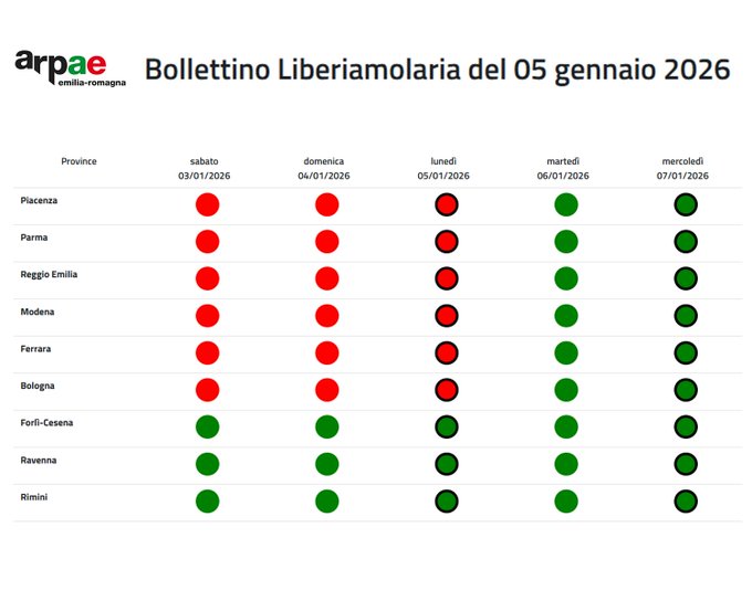 Qualità dell'aria migliorata a Carpi: rientrano le misure emergenziali antismog