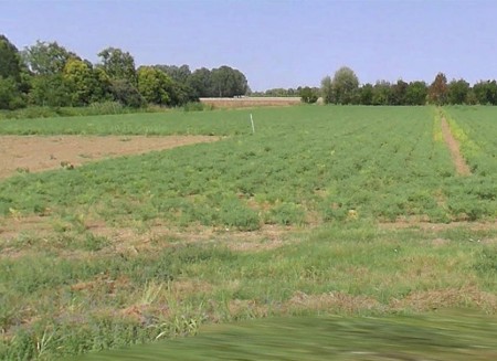 Quando le ruspe arrivano in via Bollitora, i nodi vengono al pettine