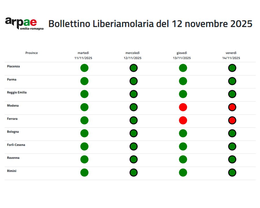 Scatta l'emergenza smog a Carpi: stop ai veicoli più inquinanti dal 13 novembre