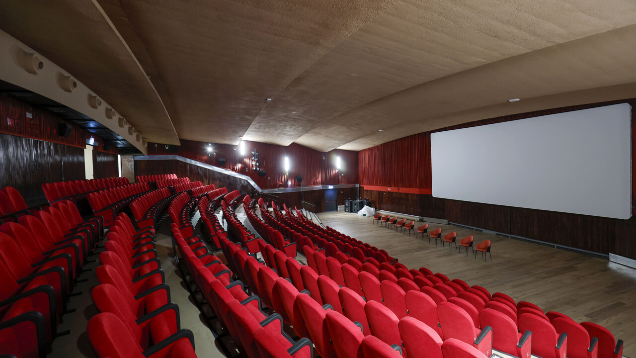 Scrittrici al cinema: sei voci femminili accendono lo schermo