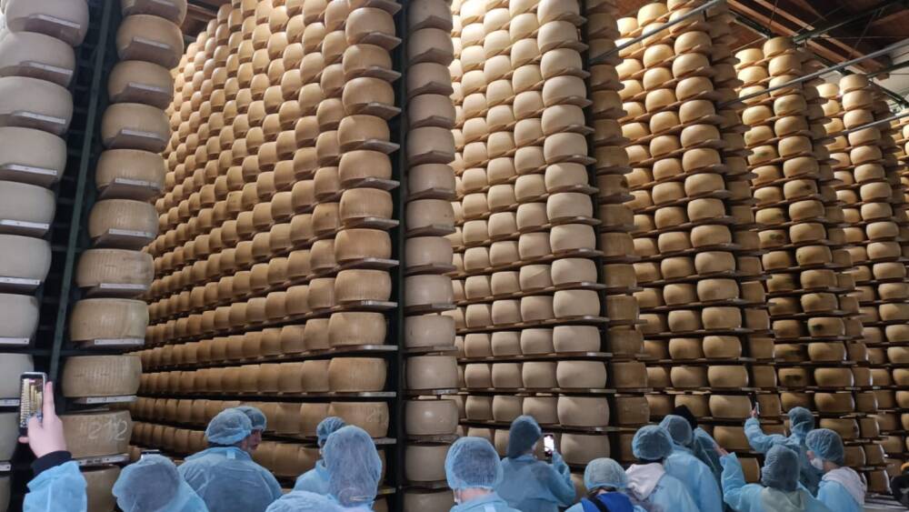 Studenti carpigiani scoprono i segreti del Re dei formaggi