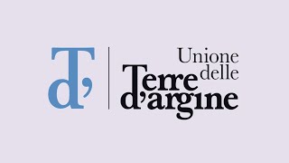 Terre d'Argine: bilancio acrobatico da 66 milioni tra nidi gratuiti e strette