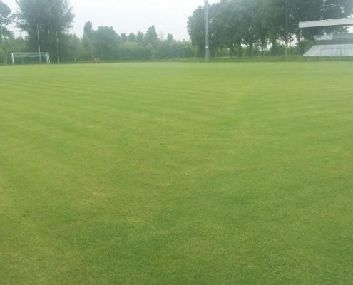 Il Carpi sbarca a Ravarino: Open Day gratuiti per i più giovani