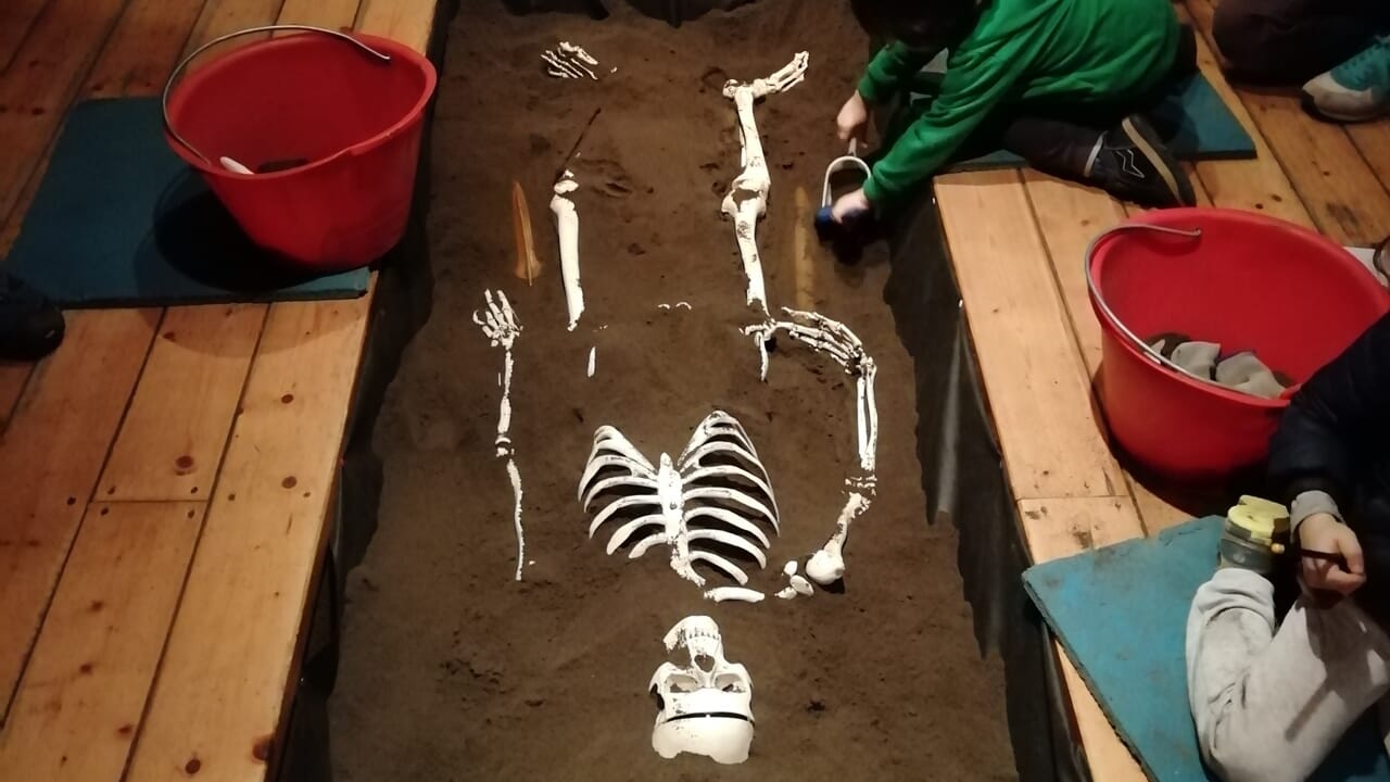 Un viaggio da brividi nell'età del bronzo: scheletri, ceneri e misteri al Parco della Terramara