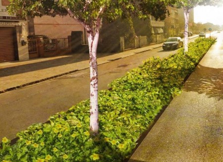 Via Roosevelt riparte: arriva il giardino che beve la pioggia