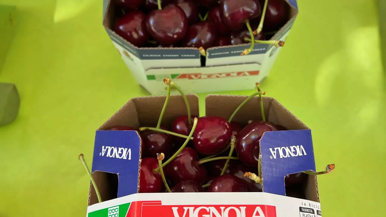 Ciliegie, chef e monumenti aperti: Vignola si tinge di rosso per due weekend di festa