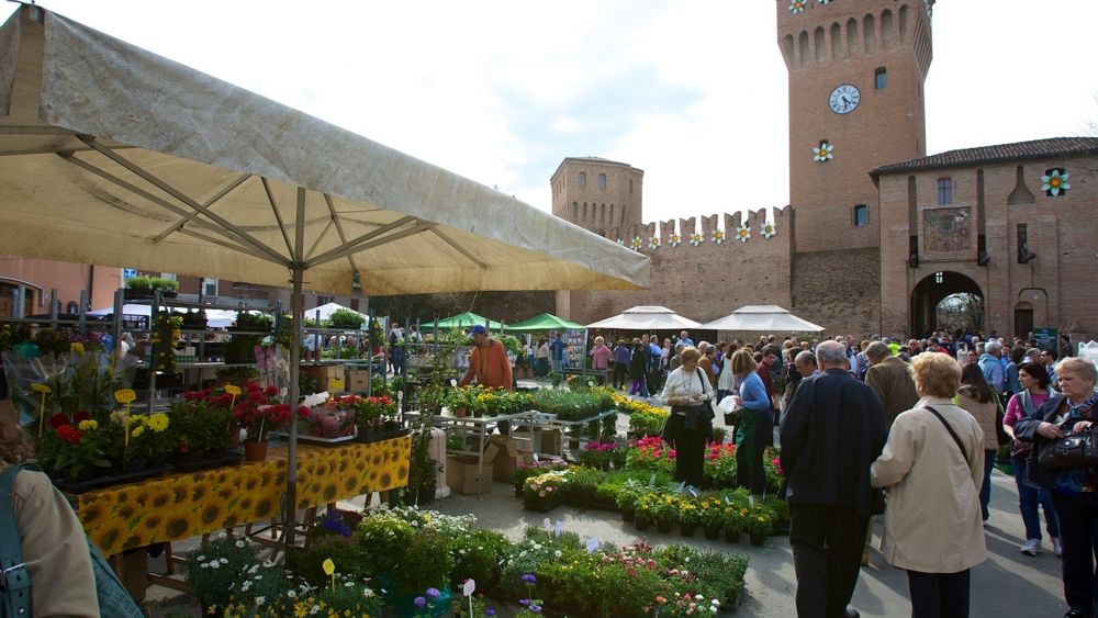 Un weekend fiorito risveglia Formigine prima della primavera