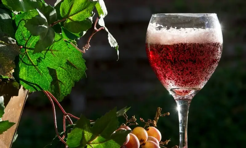 Lambrusco contro Prosecco: la partita persa del marketing