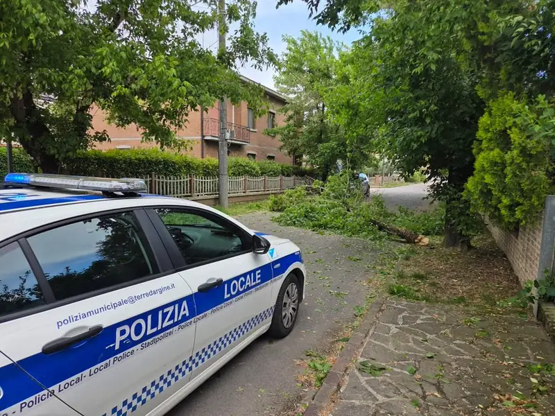 Albero abbattuto sulla carreggiata in via Puccini a Soliera: strada bloccata, cercate percorsi alternativi