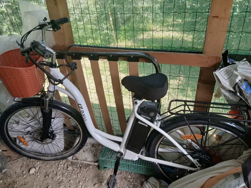 Dal parrucchiere alla tragedia: la doppia beffa