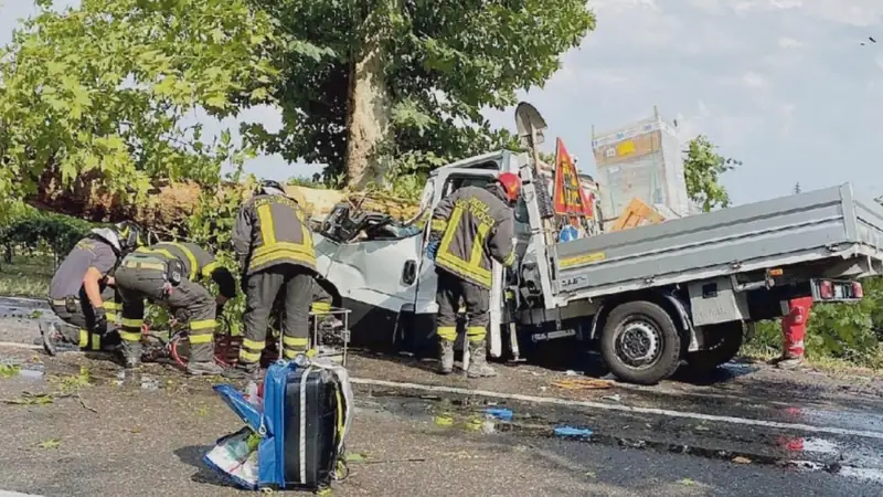 Platano pericoloso ignorato per anni: Provincia condannata a 400mila euro di risarcimento