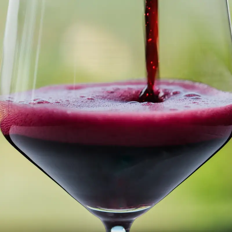 I Custodi del Lambrusco e le tre vie d'uscita dalla crisi