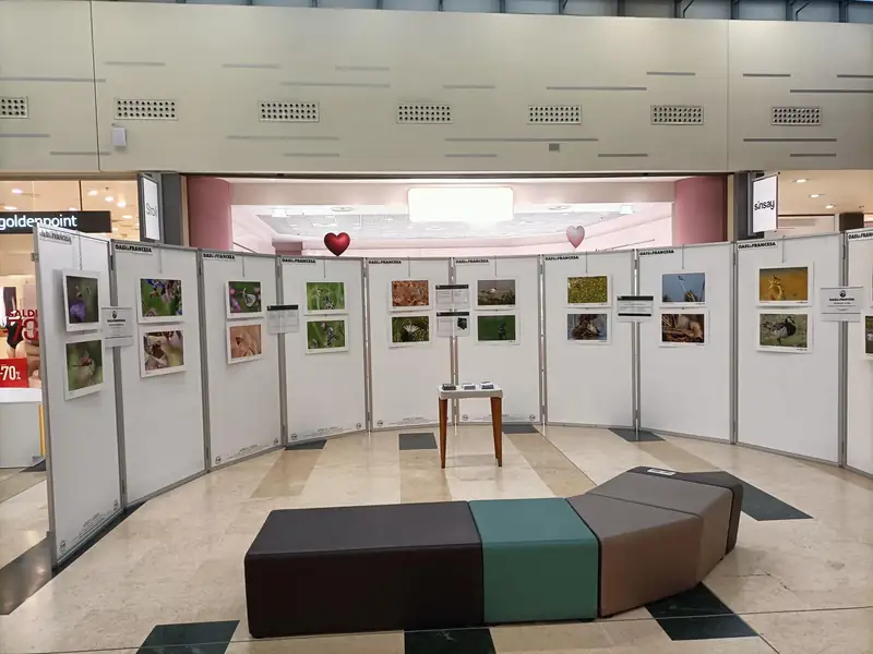 Domenica di Carnevale al Borgogioioso: festa in maschera e fotografia naturalistica
