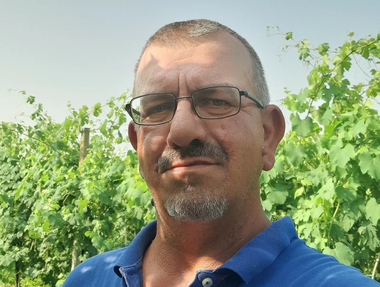 Soliera, polemiche sulle fototrappole: "Solo due multe in un anno contro chi abbandona rifiuti"