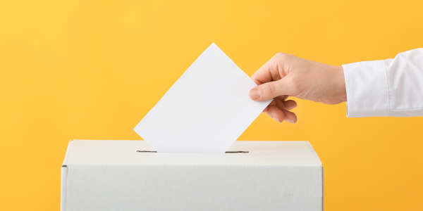 Apertura candidature per scrutatori e presidenti di seggio: opportunità di servizio civico per i cittadini di Soliera