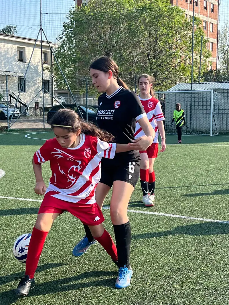 Luci e ombre per il rosa carpigiano