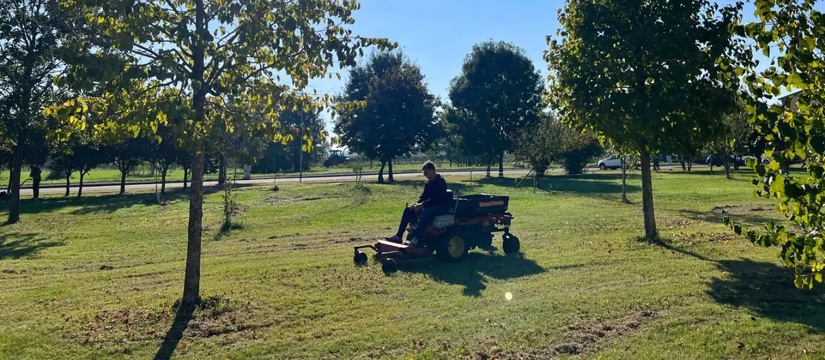 Un parco sotto casa da curare: Carpi rilancia l'adozione delle aree verdi