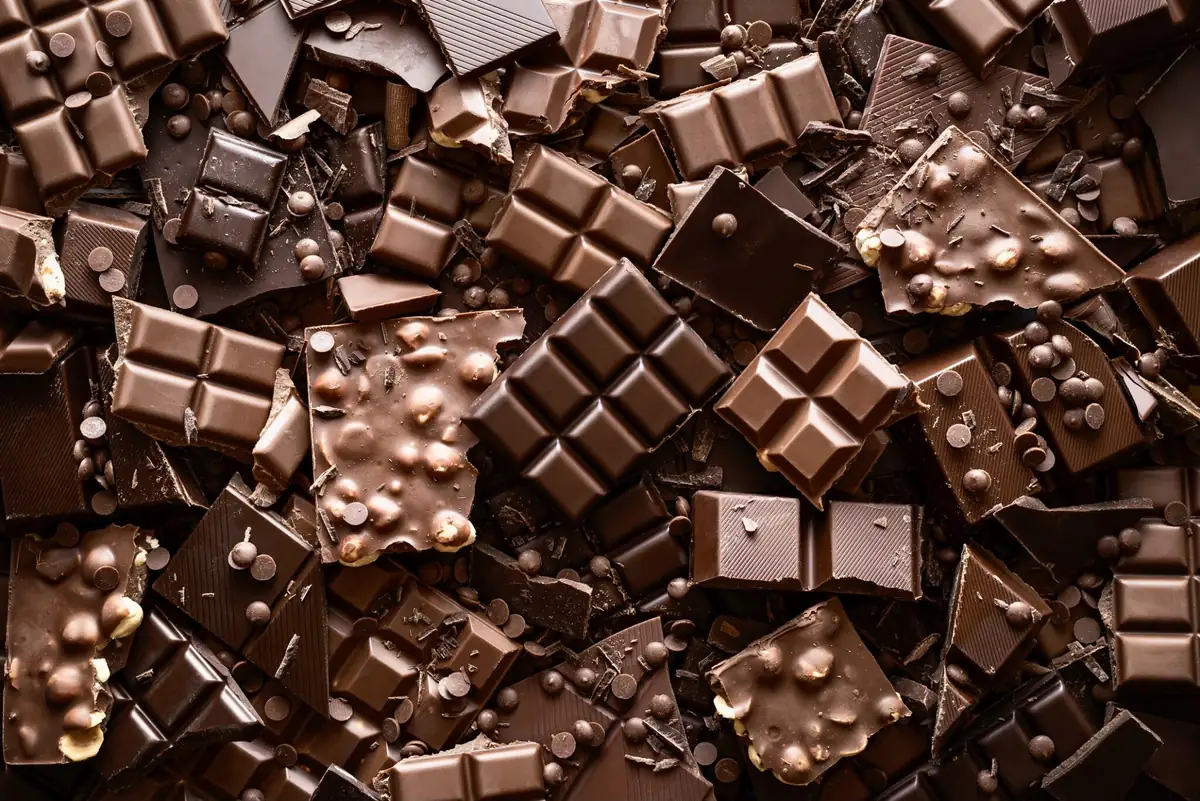 Tre giorni di cioccolato in centro, e per la prima volta arriva la pianta di cacao