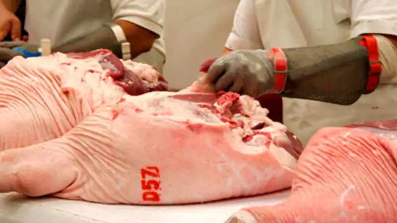 Maxi-frode da 8 milioni nel settore carni: blitz della Finanza tra Modena e Parma