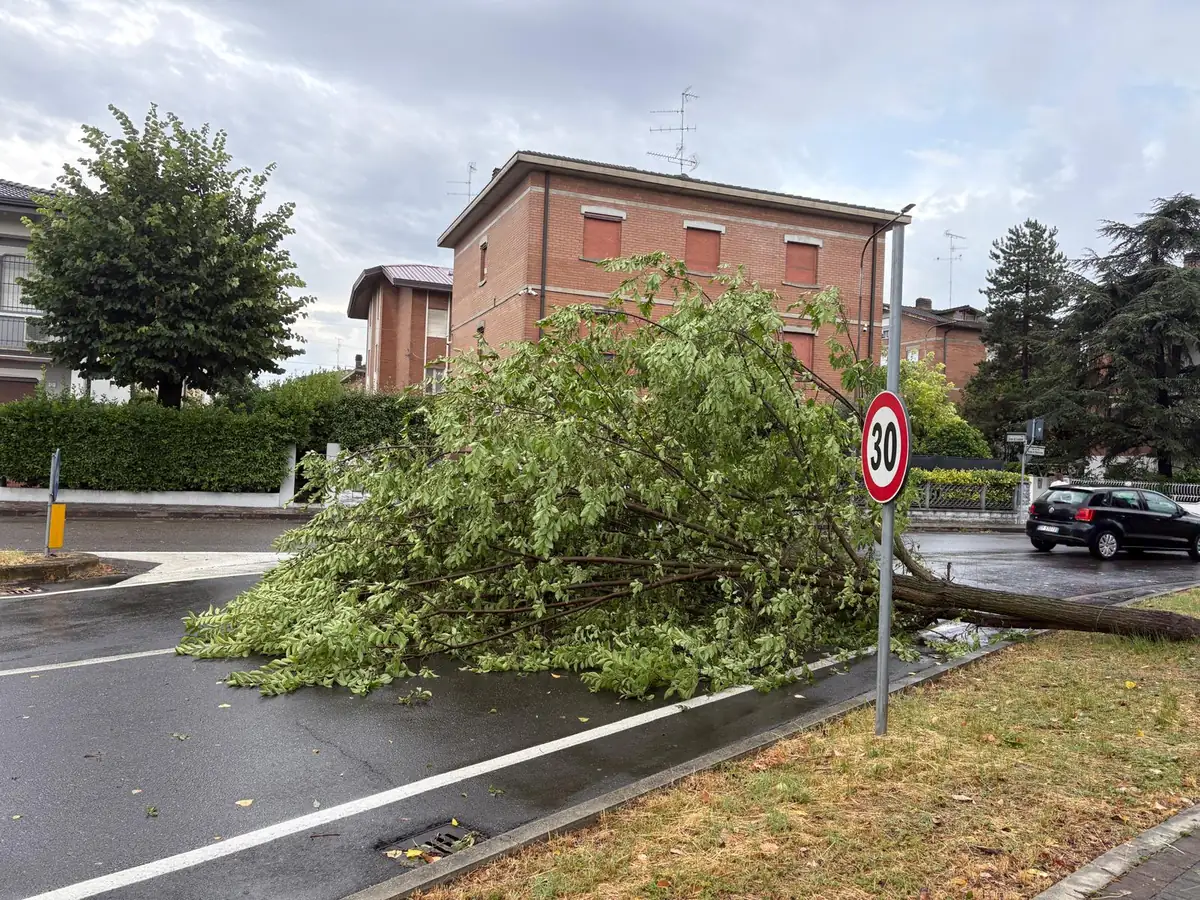 Mezz'ora di nubifragio, ore di paura: il temporale del primo luglio non perdona Carpi e la provincia
