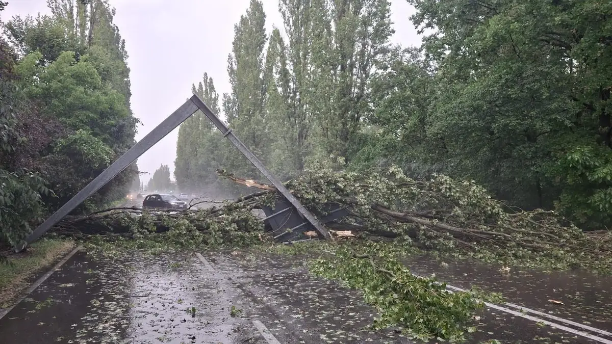 Grandine su Carpi, alberi abbattuti e un'auto centrata in pieno: il 2 giugno non è stato proprio una festa