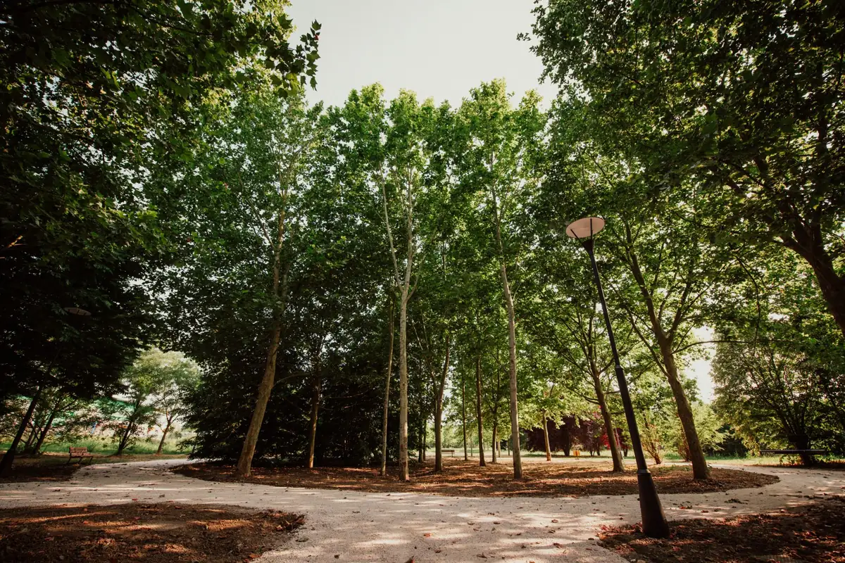 Parco Santacroce chiuso per un giorno: lunedì 5 ottobre stop alle passeggiate