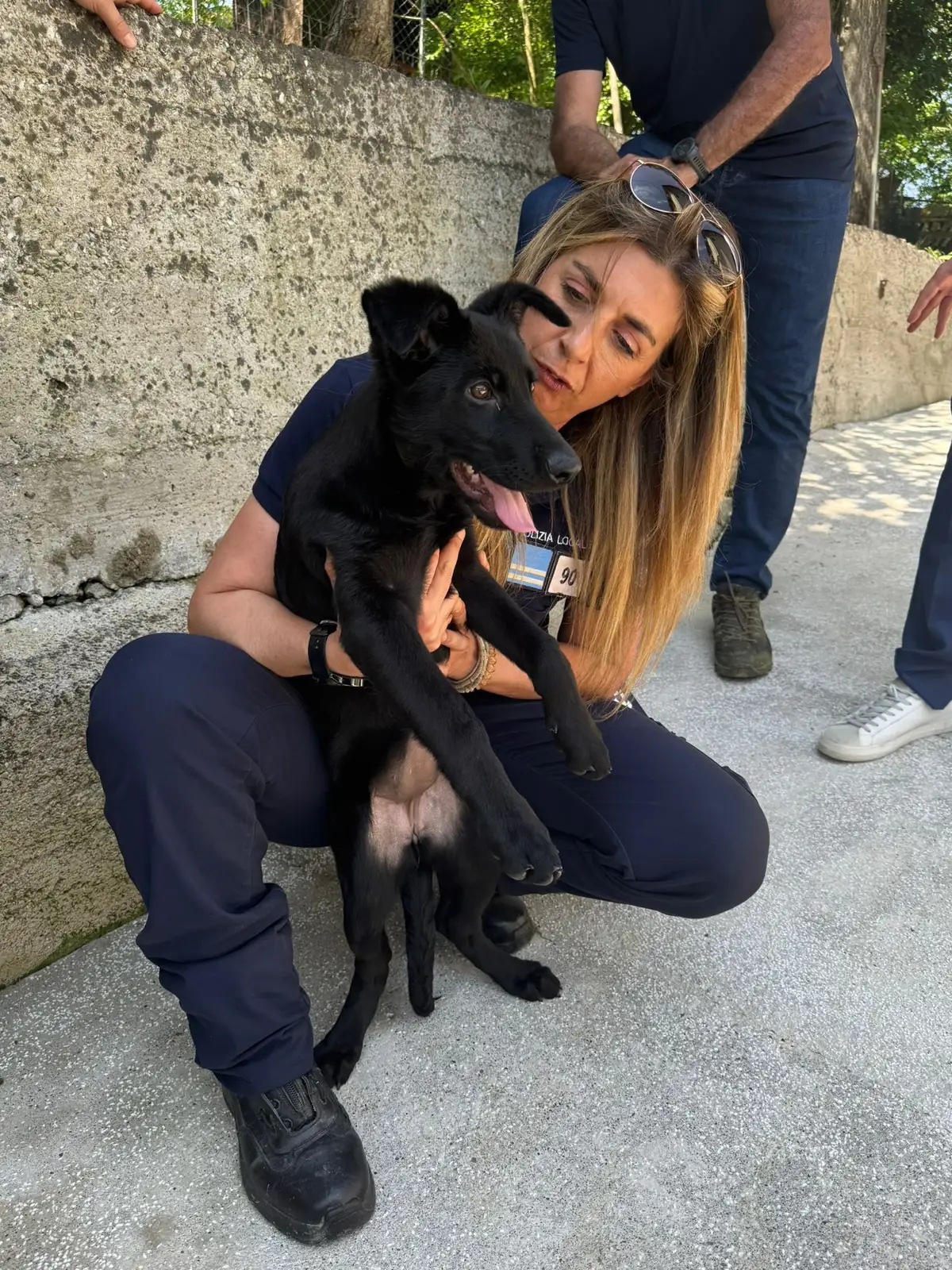 Kleo arriva alla Polizia Locale delle Terre d'Argine: la cucciola di pastore tedesco che nel 2027 presidierà parchi e luoghi pubblici di Carpi