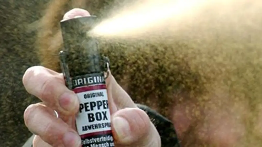 Tre generazioni di donne nel terrore: il vicino di 86 anni le perseguita con coltello, estintore e spray al peperoncino
